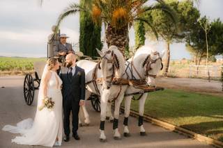 JRvisual Studios - 15