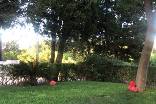 Señor y señora de - 5