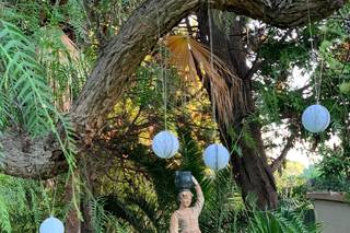 Señor y señora de - 6