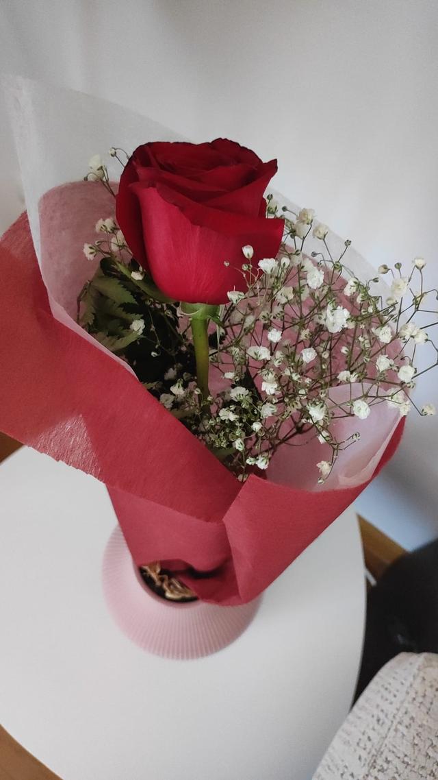 Flor de Holanda - 2