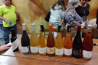 Bodegas Campestral - 6