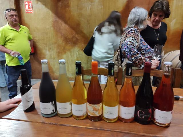 Bodegas Campestral - 1