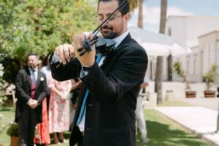Dmviolin - 5