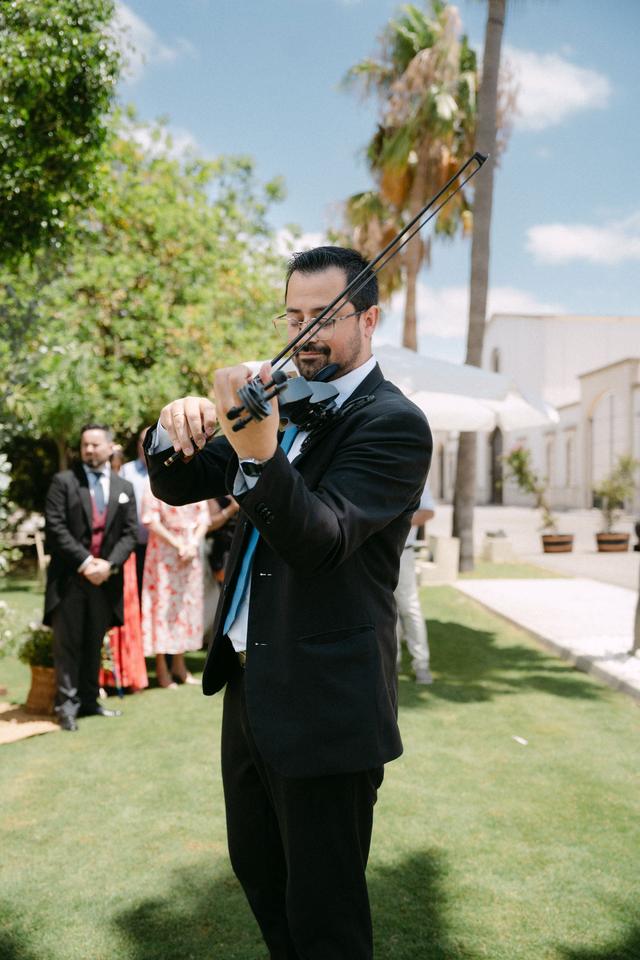Dmviolin - 2