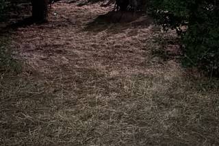 DJ Eugenia Genial - 1