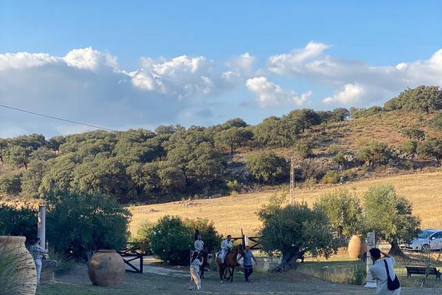 Los Pilares de Ronda 5