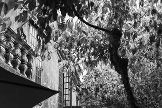 Pazo do Faramello - 14