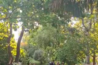 Finca Condado de Cubillana by YourWay Bodas y Eventos - 10