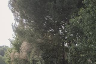 Lago de Maito - 10