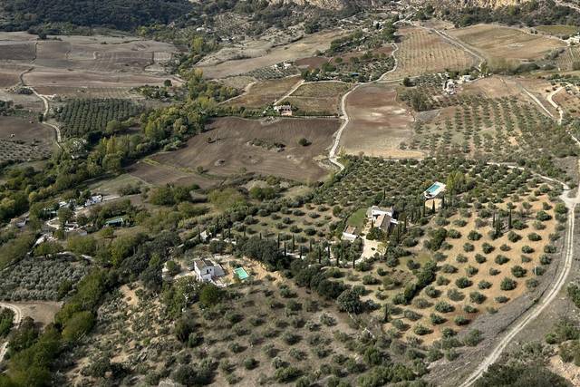 Catalonia Reina Victoria Wellness & Spa 4