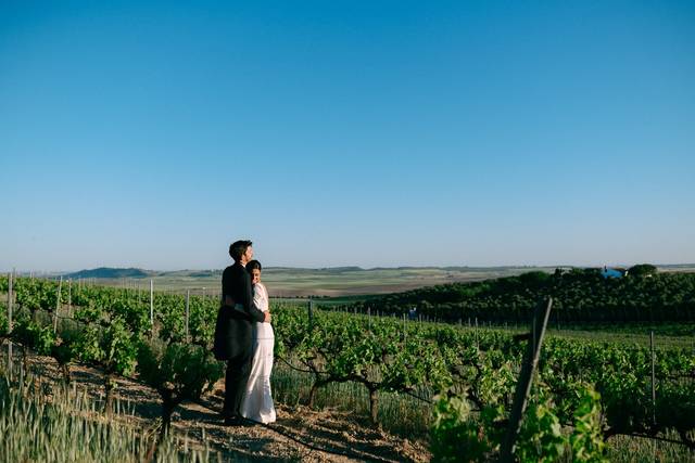 Bodegas Luis Peréz 2