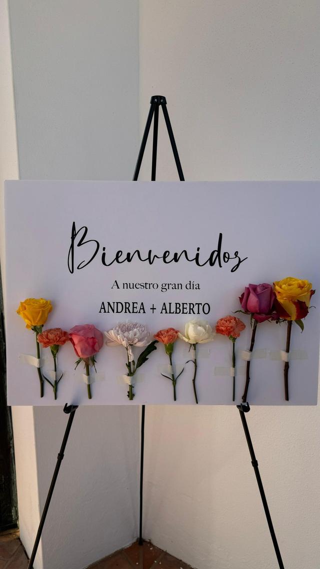 Entre vides y olivares - 3