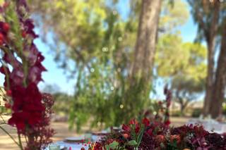 Tina Floristas - 5