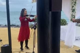 Alice Violín - 7