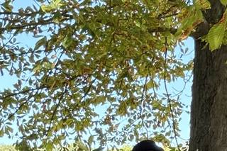SonoKando - 7