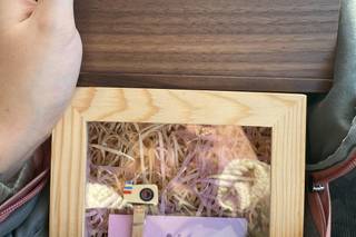 Con Acento | Photo & Video - 32