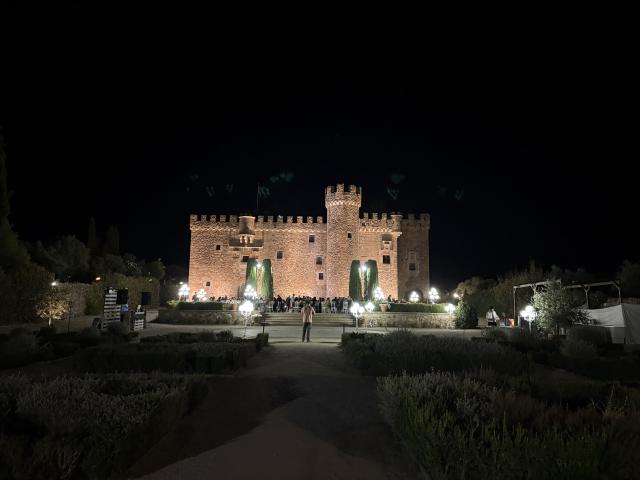 El Castillo de la Arguijuela - 1