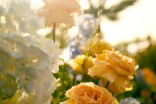 Ojala Weddings&Events - 5