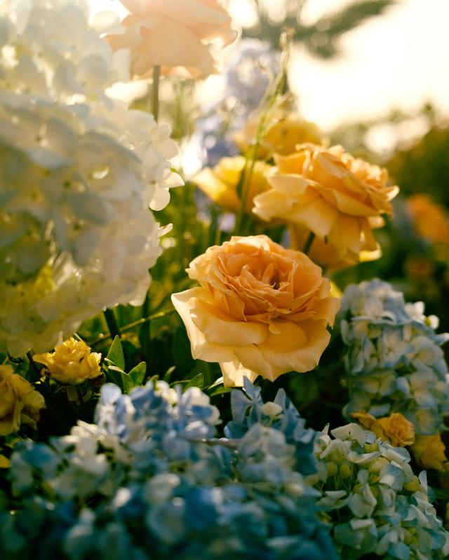 Ojala Weddings&Events - 1