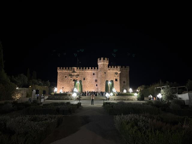 El Castillo de la Arguijuela - 3