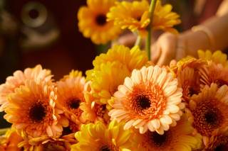 Ojala Weddings&Events - 6