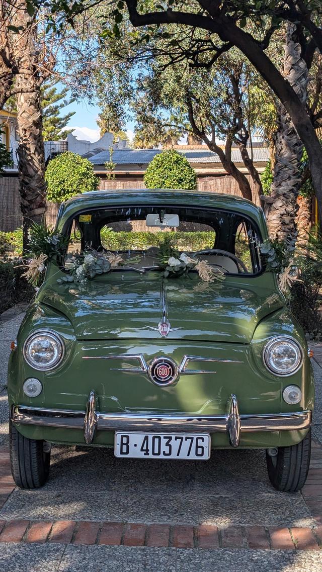 Vintage Seiscientos - 3