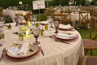 Catering Pick Up - 9