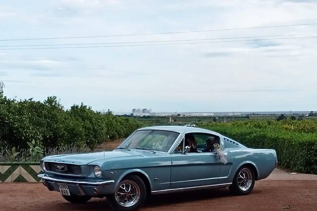 Events Cars 2