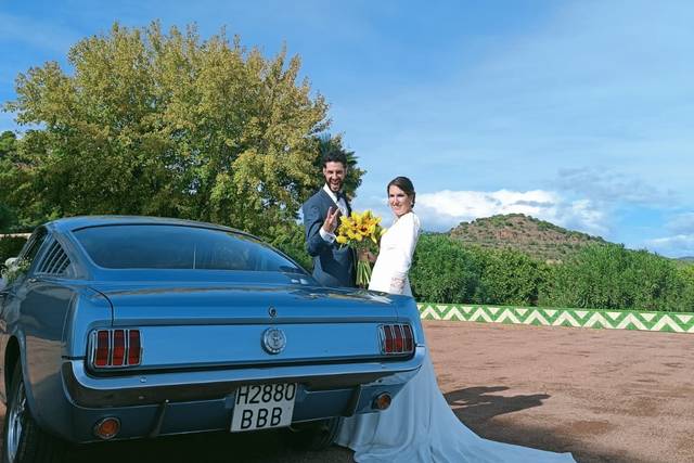 Events Cars 3