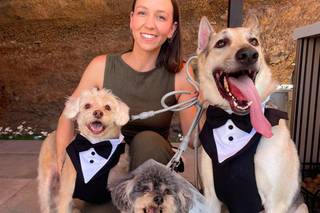 Tu perro en tu boda - 5