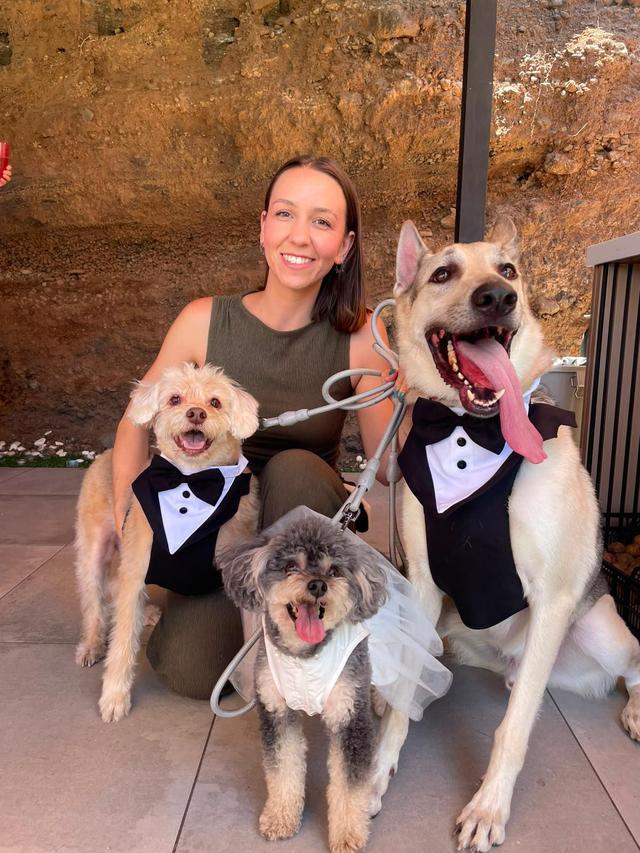 Tu perro en tu boda - 1