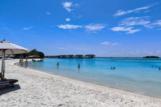 Davalia Travel - 5