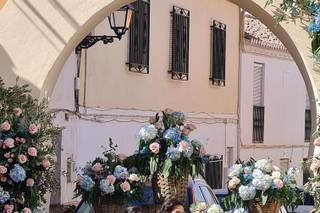 Cristina floristas - 9