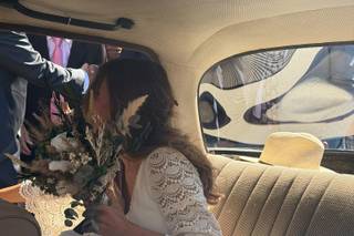 Victoriae Classic - 6