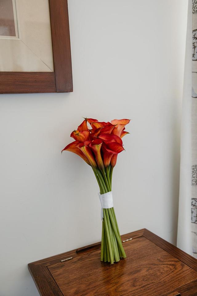 Lumea Blooms - 1