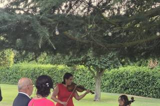 Violín per tutti - 4
