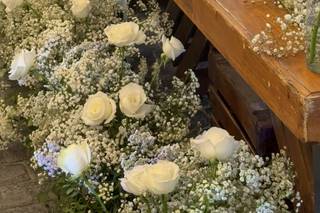 Flors i Plantes Silvia - 8