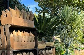 De Boda con Lola - 7