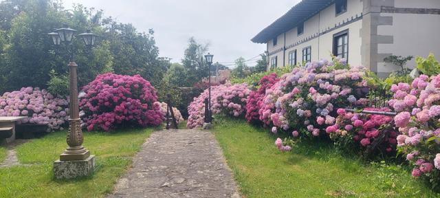 El Jardín de Quijas - 1