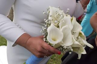 Terrae Floristas - 16