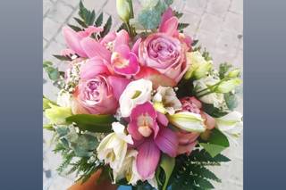 Flor de Romero - 8