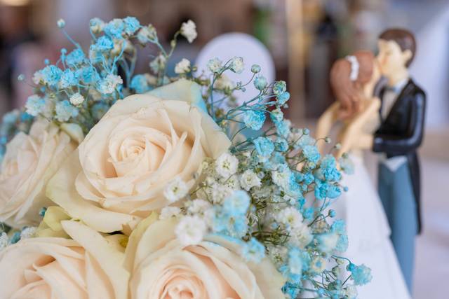 Magnolias Weddings 1