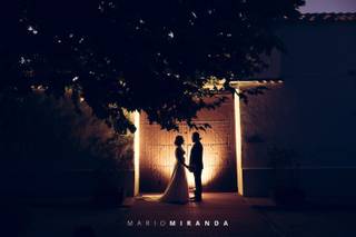 Mario Miranda - 20