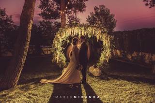 Mario Miranda - 21