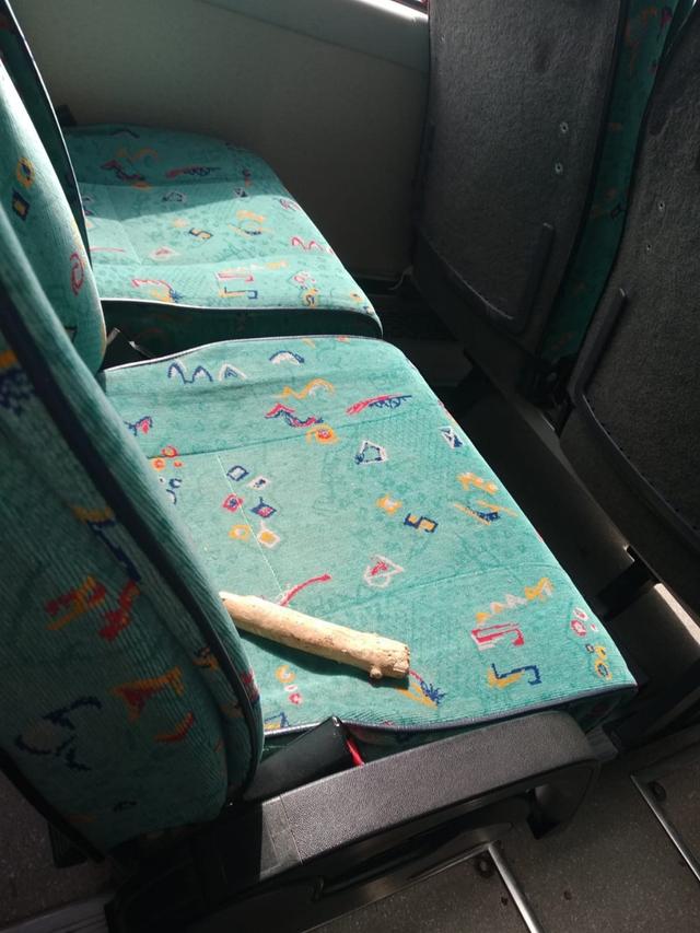 Autocares Turiabus - 2