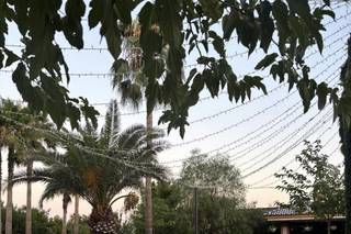 Hacienda La Masía - 6
