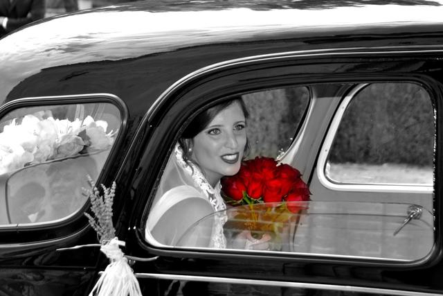 Cera Flor - 3