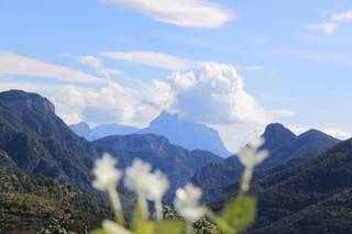 HR Palazio - 6