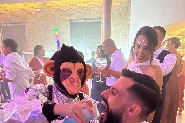 Amor Loco Wedding Planner 2