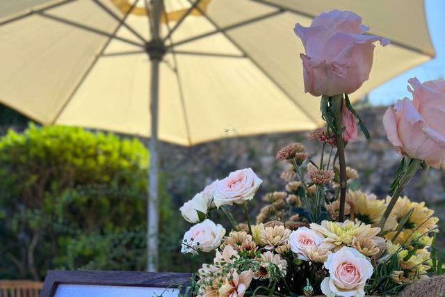 Sabinata eventos 1